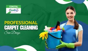 Professional Carpet Cleaning San