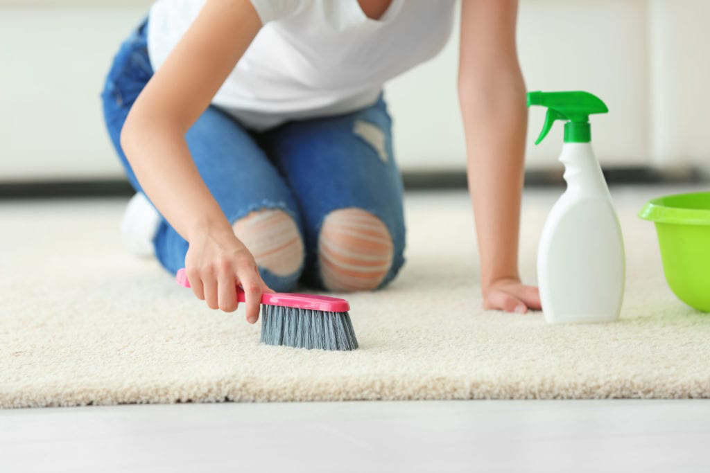 Professional-Carpet-Cleaning-Methods